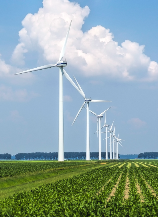 KS凯时·(中国区)官方网站